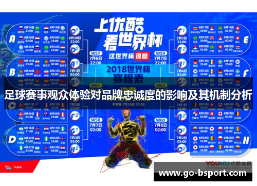 足球赛事观众体验对品牌忠诚度的影响及其机制分析