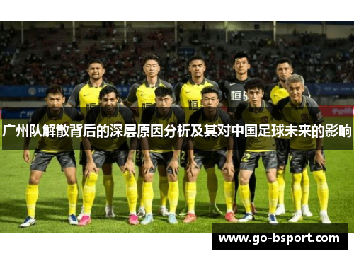 广州队解散背后的深层原因分析及其对中国足球未来的影响