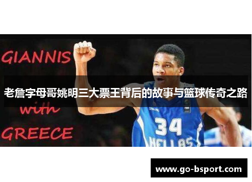 老詹字母哥姚明三大票王背后的故事与篮球传奇之路