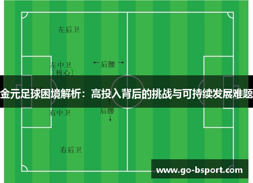 金元足球困境解析：高投入背后的挑战与可持续发展难题