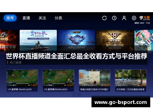世界杯直播频道全面汇总最全收看方式与平台推荐