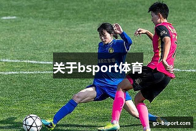 关于bsport体育